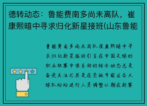 德转动态：鲁能费南多尚未离队，崔康熙暗中寻求归化新星接班(山东鲁能费莱尼个人资料)