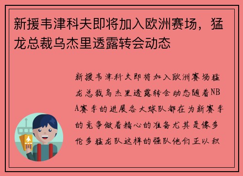 新援韦津科夫即将加入欧洲赛场，猛龙总裁乌杰里透露转会动态